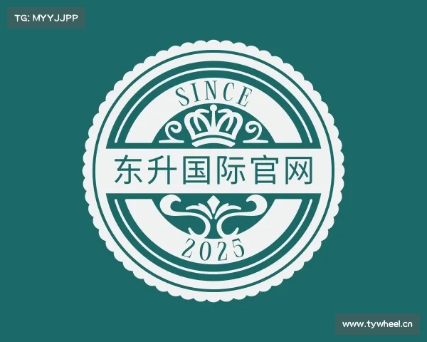 介绍东升国际官网